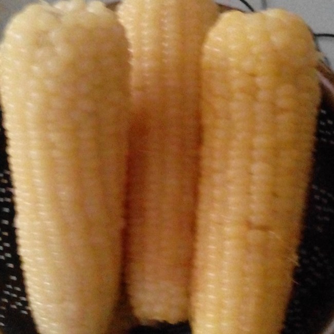 午餐•2014年7月27日