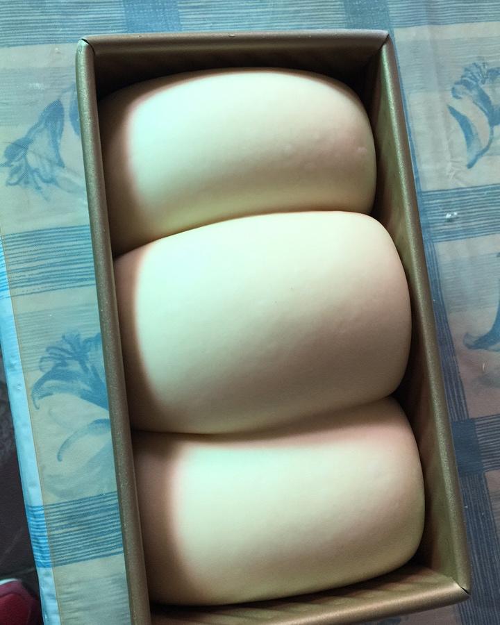 夺命软吐司(๑´ڡ`๑)超软拉丝极速方便的一次发酵吐司