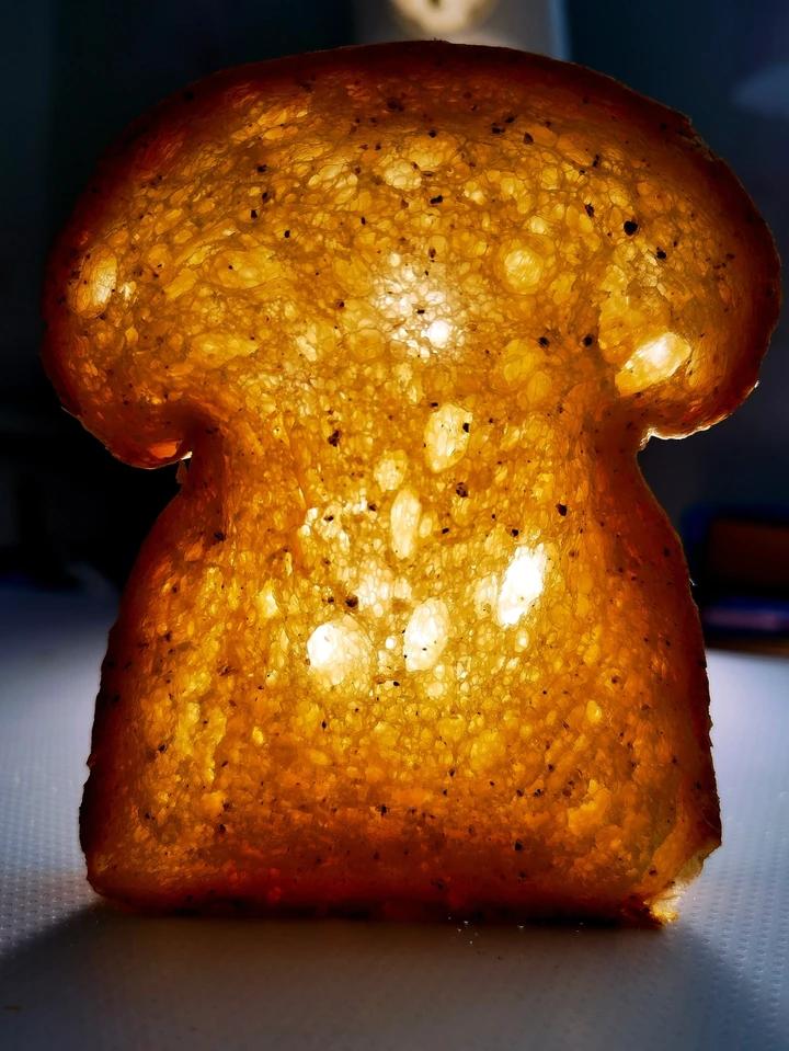 鲁邦种椒盐庞多米-超详细视频