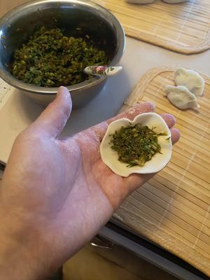 茴香馅饺子的做法 步骤4