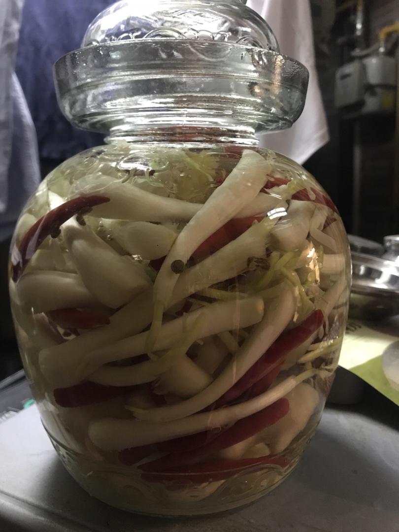 不易坏的四川泡菜（生水版）