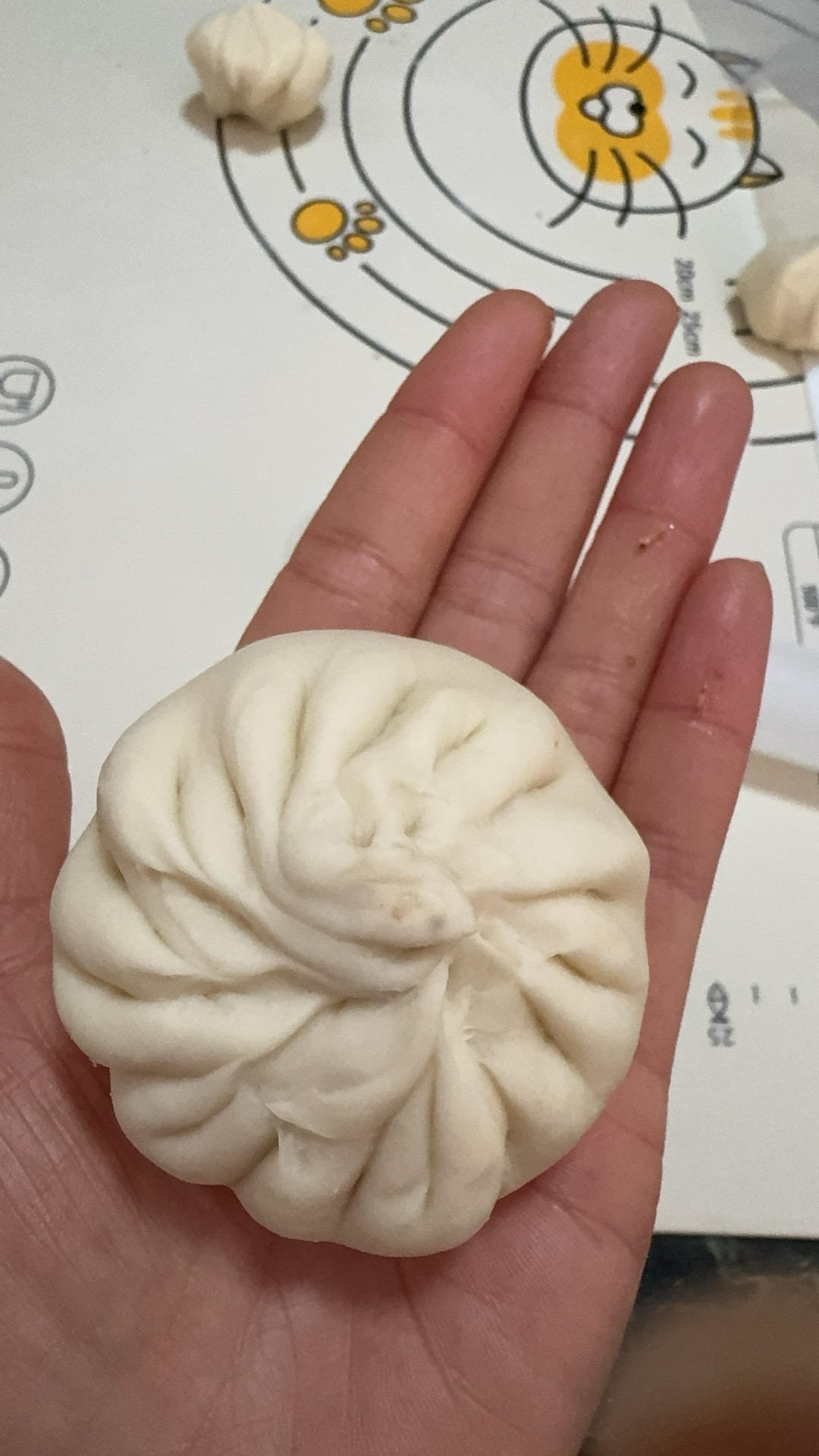 好吃多汁的肉包子肉馒头【步骤超详细】