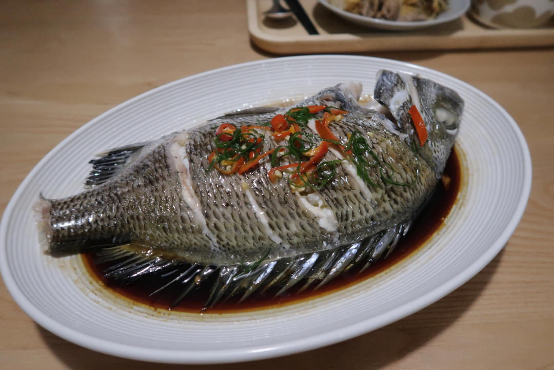 【0449】清蒸黑翅鱼（黑鲷鱼） <302小厨房>