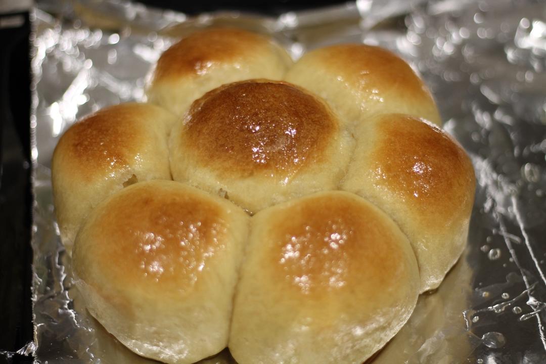 牛奶圆面包（爱和自由配方）