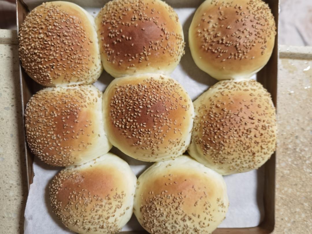 基础牛奶小餐包/汉堡胚/吐司（一次发酵，极简原料）