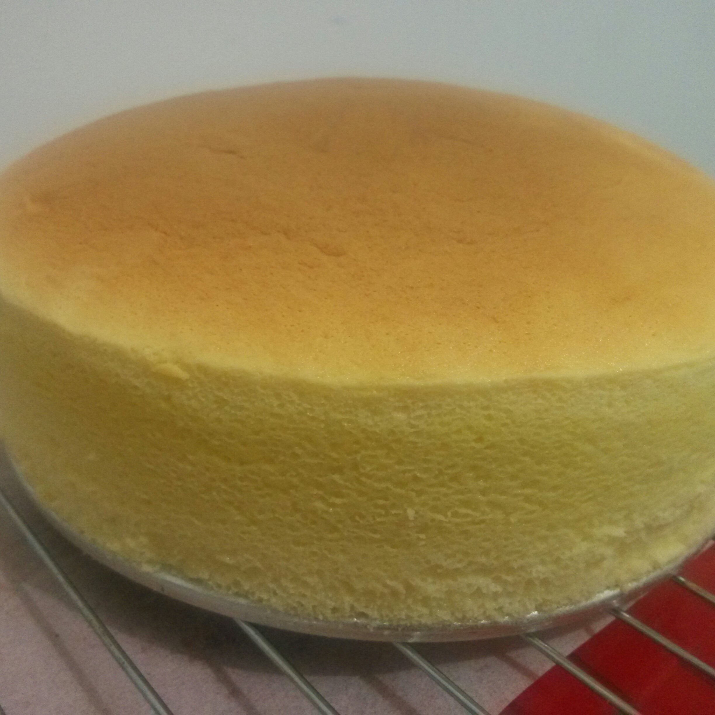 轻乳酪芝士蛋糕6寸#皮黑森林#