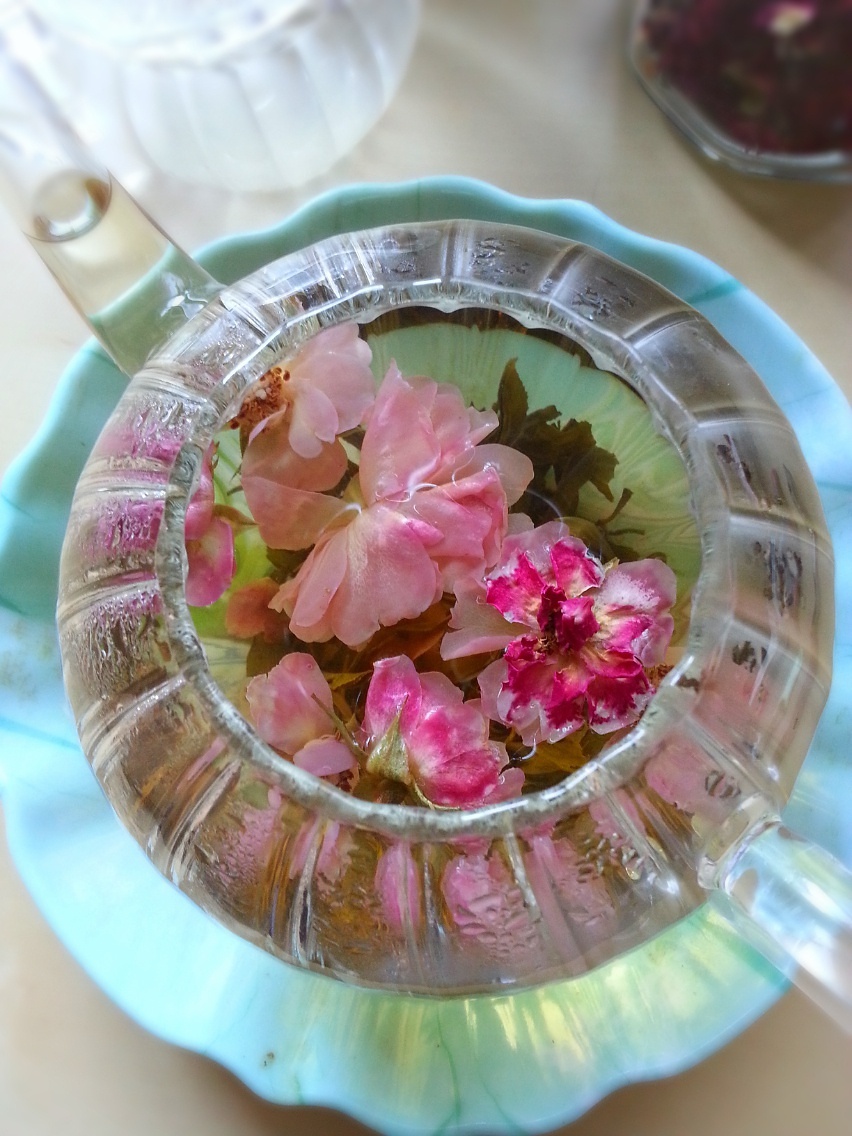 teatime| 雪山玫瑰云雾绿茶的做法