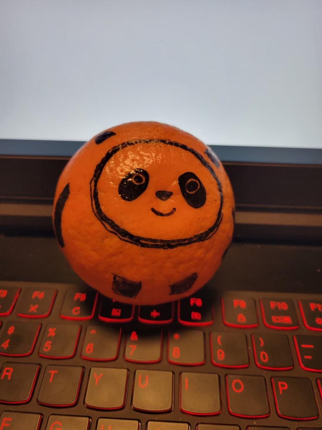 冰墩墩 还是 橘墩墩