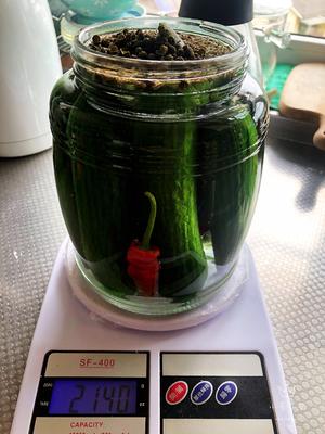泡菜/泡黄瓜/泡洋葱（健康的乳酸发酵/非醋泡）的做法 步骤3