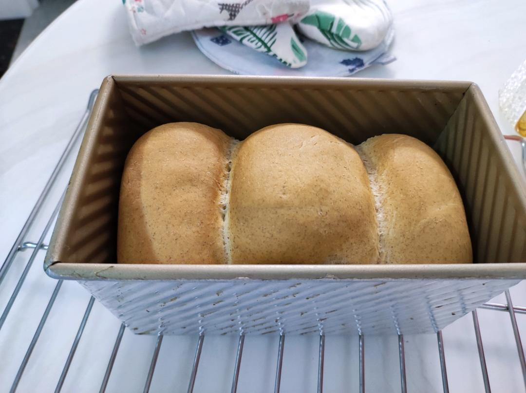 减脂｜无糖全麦吐司🍞，无糖全麦也能长得高