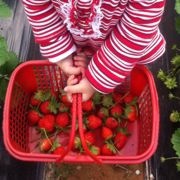 Irina小草莓