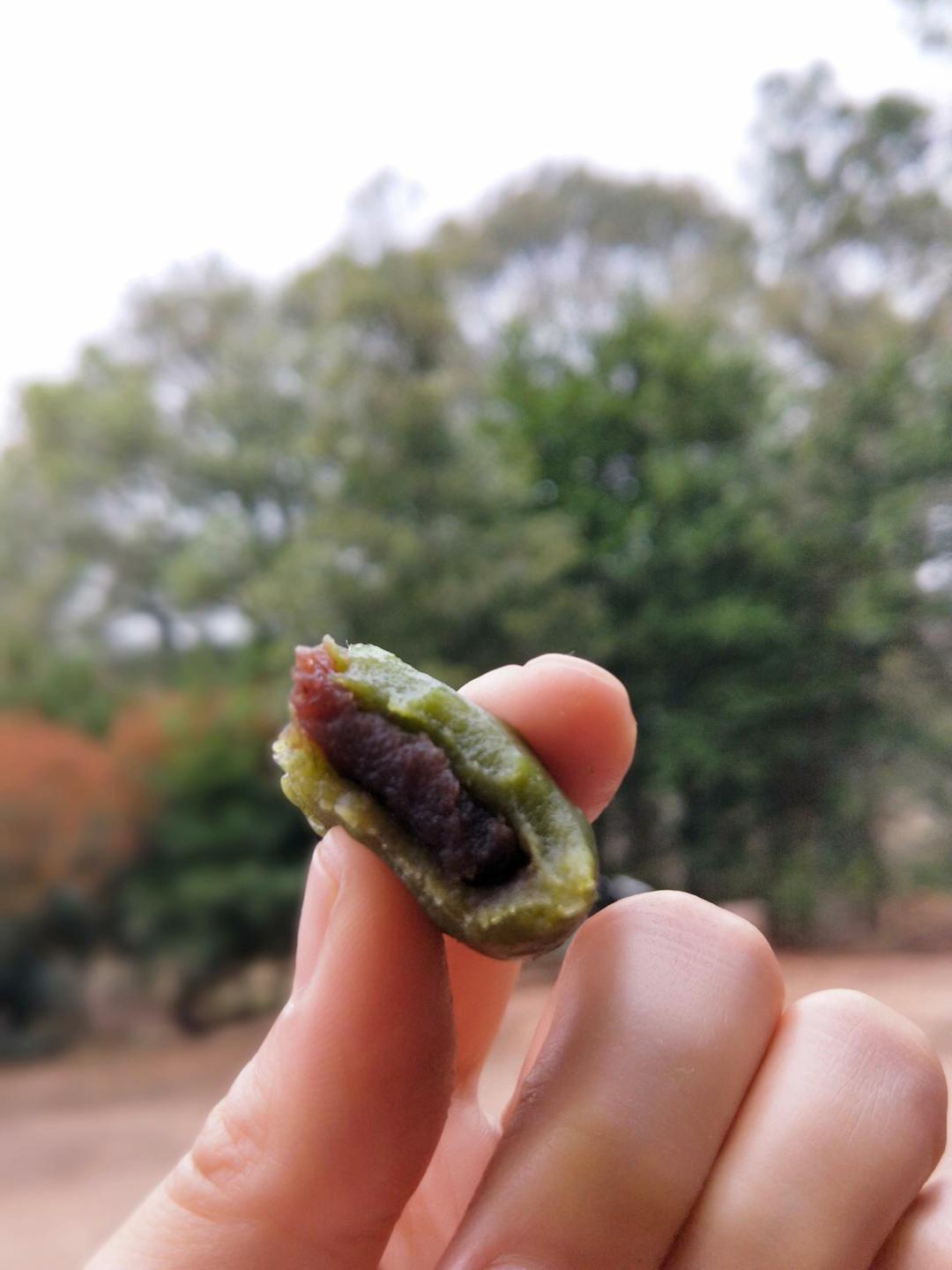 自制秋菊粿（鼠曲粿），有附红糖秋菊粿做法