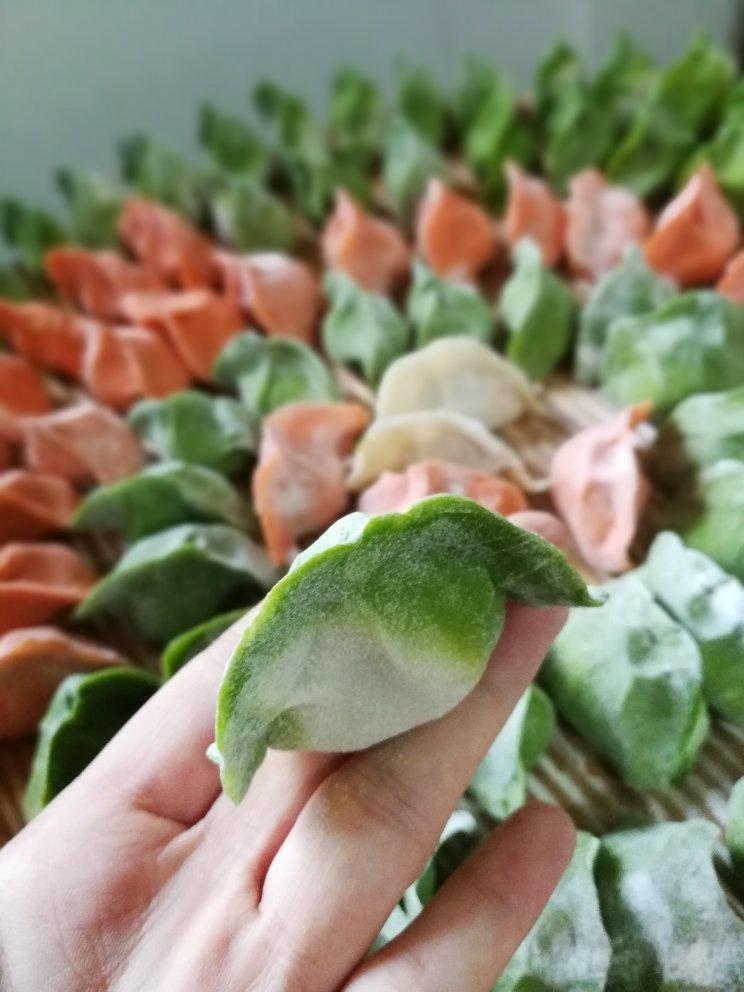 源圈圈做的七彩饺子!彩色饺子