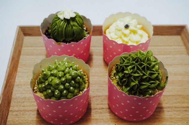 多肉植物仙人球杯子蛋糕（抹茶草莓可可cupcake）