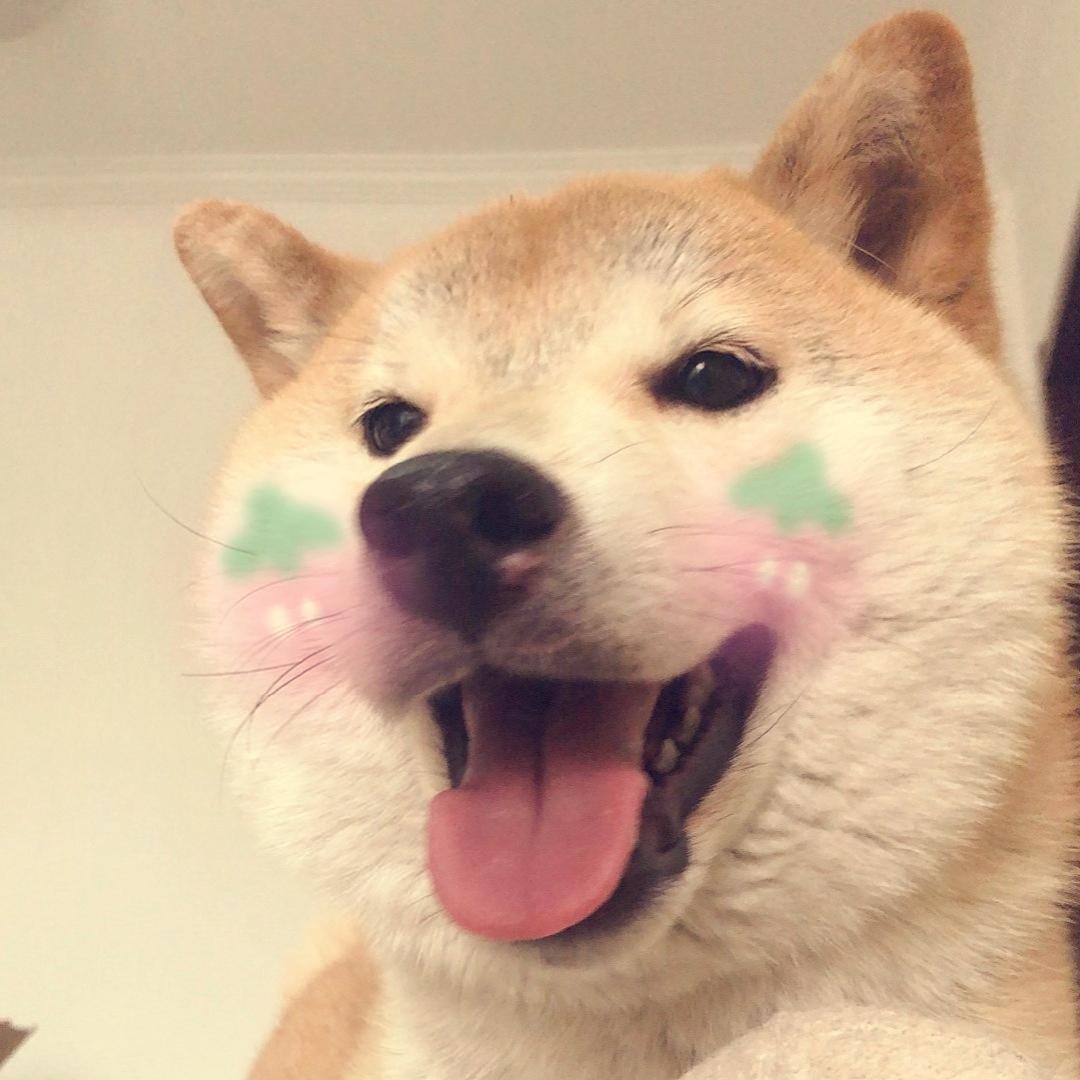 可爱小卢