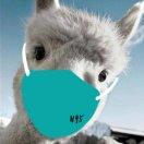 邊減肥邊做甜品