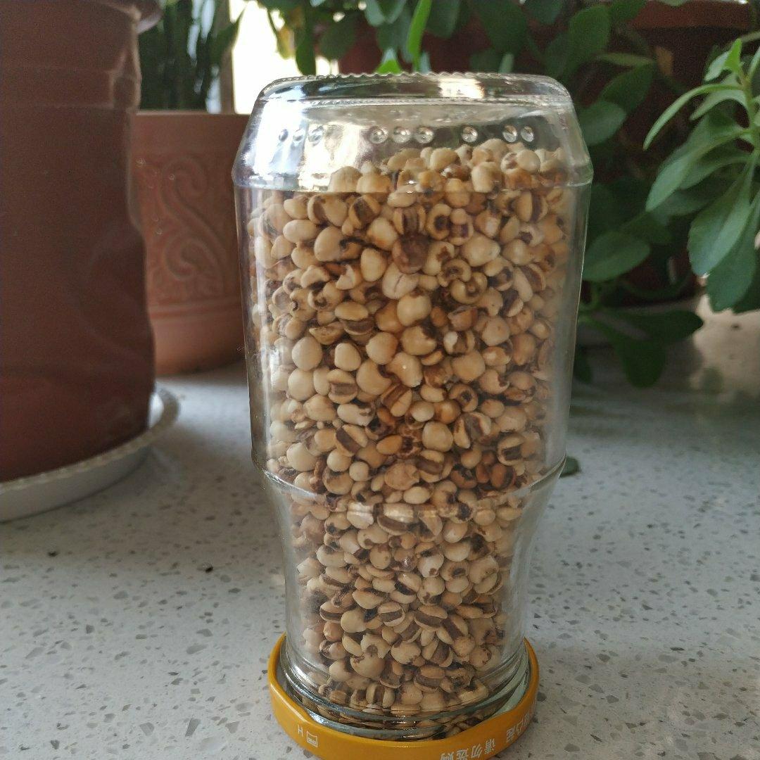一定要炒制的薏米赤小豆