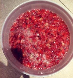 酵妈妈酵素桶－－草莓酵素🍓的做法 步骤6