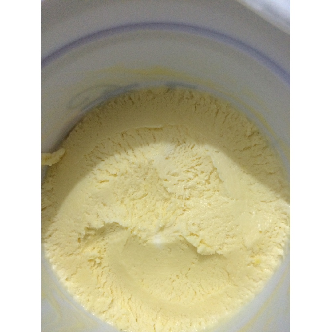 朗姆黑加仑冰淇淋 Rum Raisin Ice cream