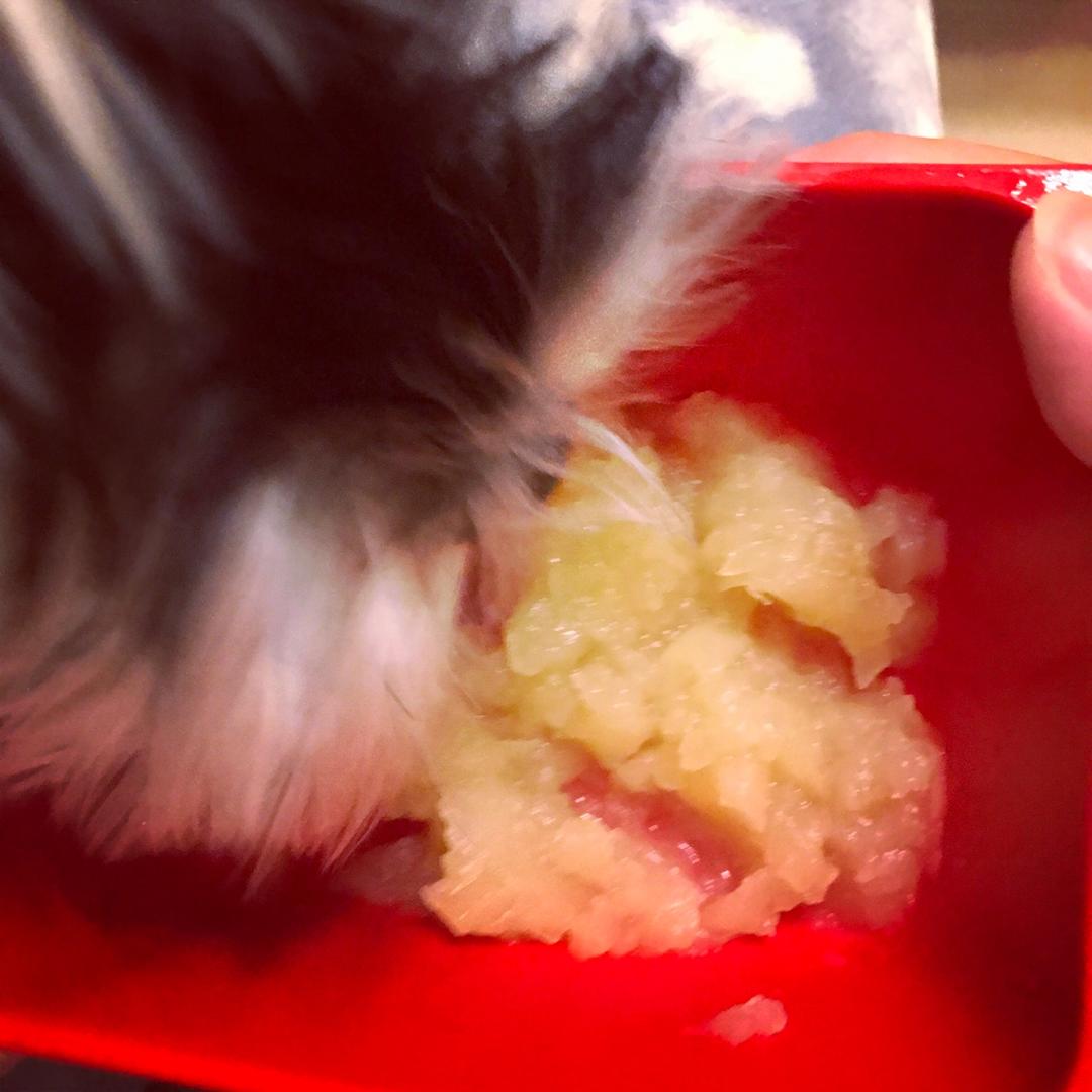 自制狗甜品🐶