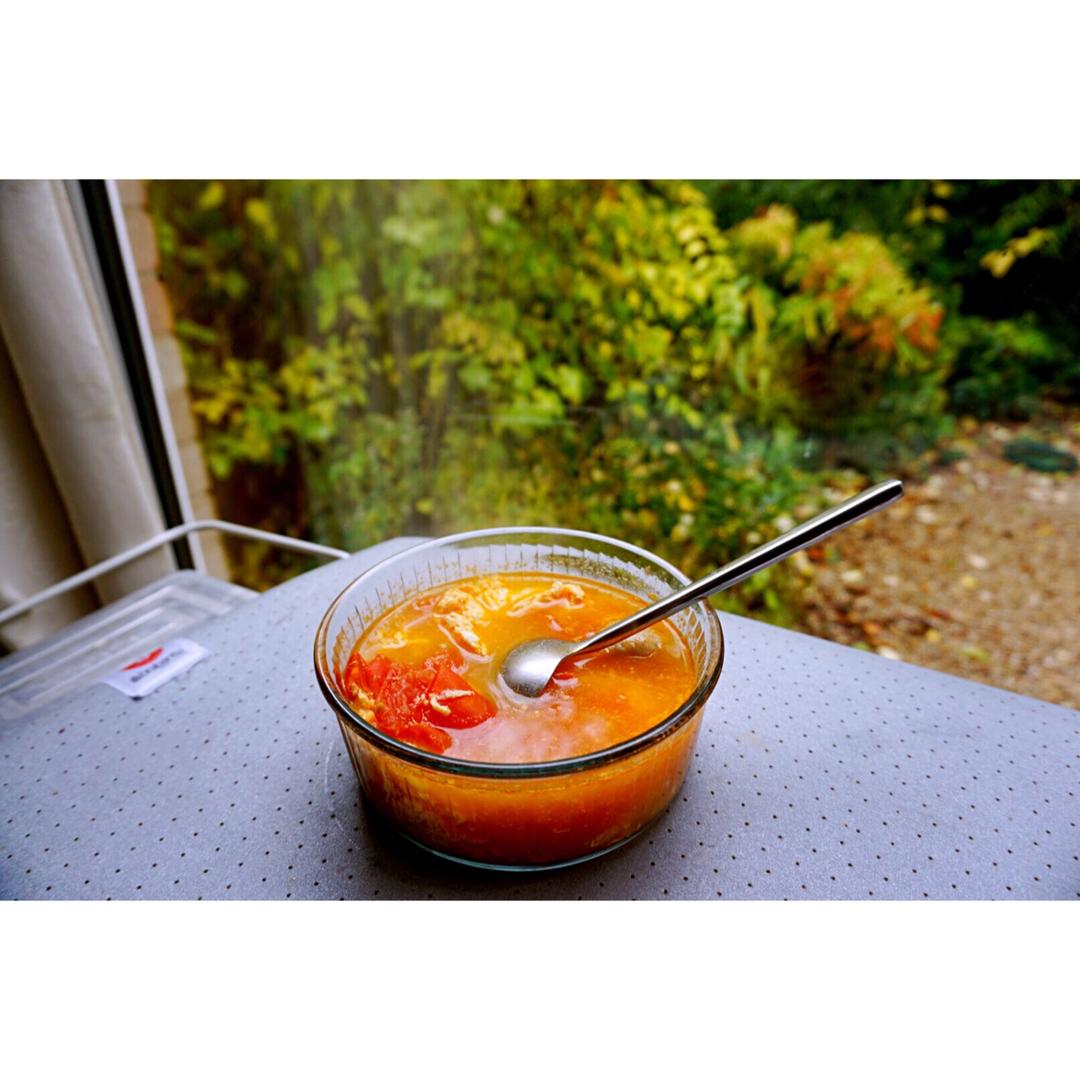 小叶子的剑桥日志