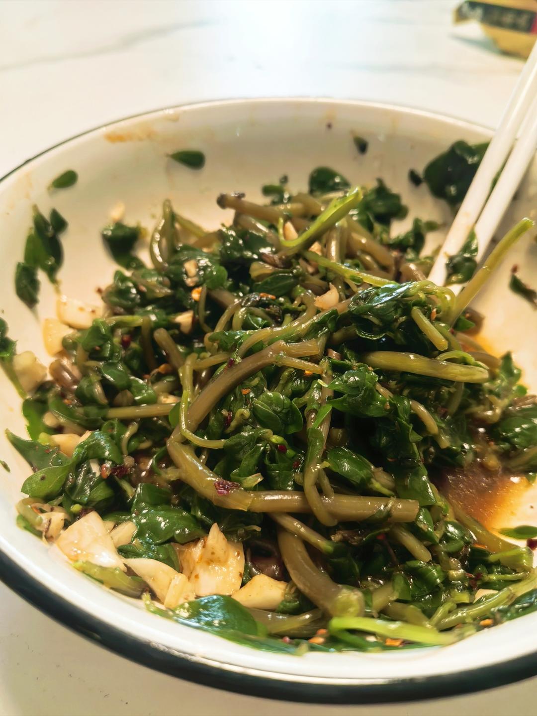 凉拌马马菜（凉拌马齿苋）
