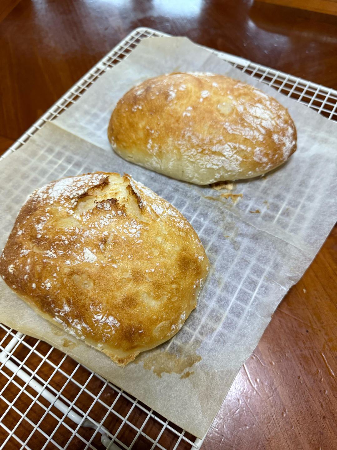 免揉恰巴塔（波兰种）