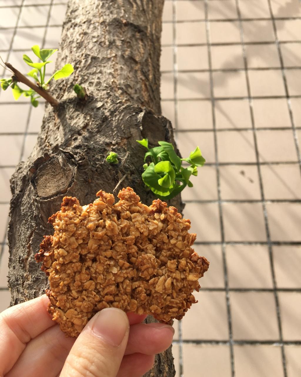 减肥零食燕麦饼干