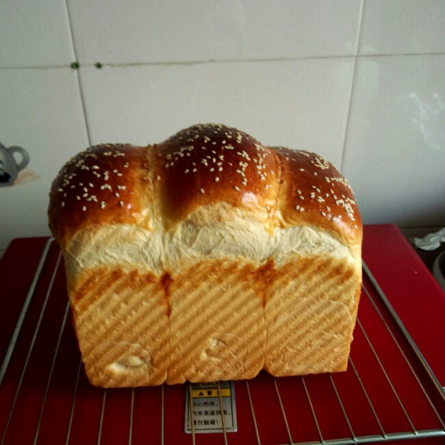 【北海道吐司】体验经典-妃娟100%中种，冷藏冰种的美味