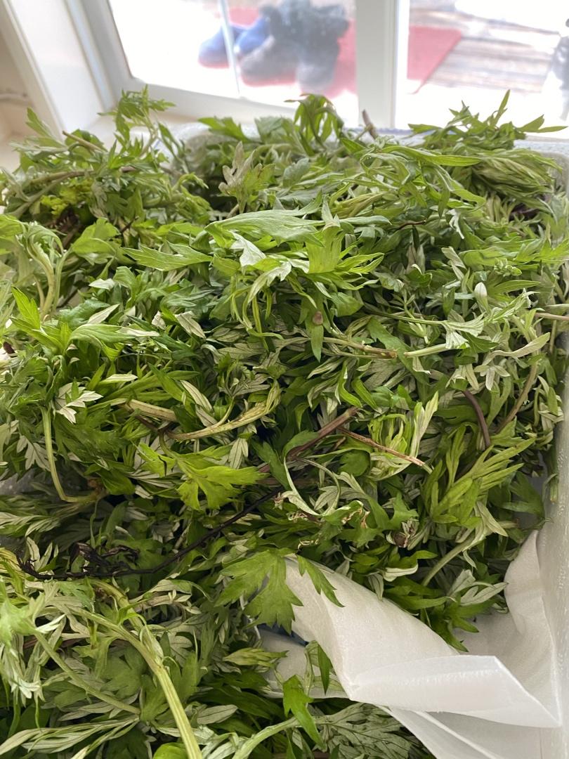 时令点心-艾草青团-4款咸甜配合的馅料