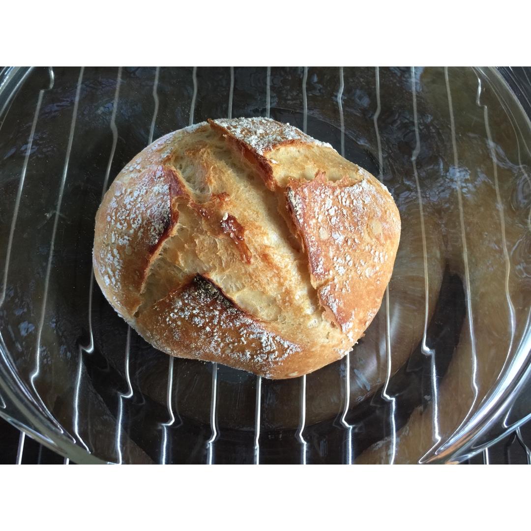 欧包/乡村面包-无油不用揉 No Knead Bread