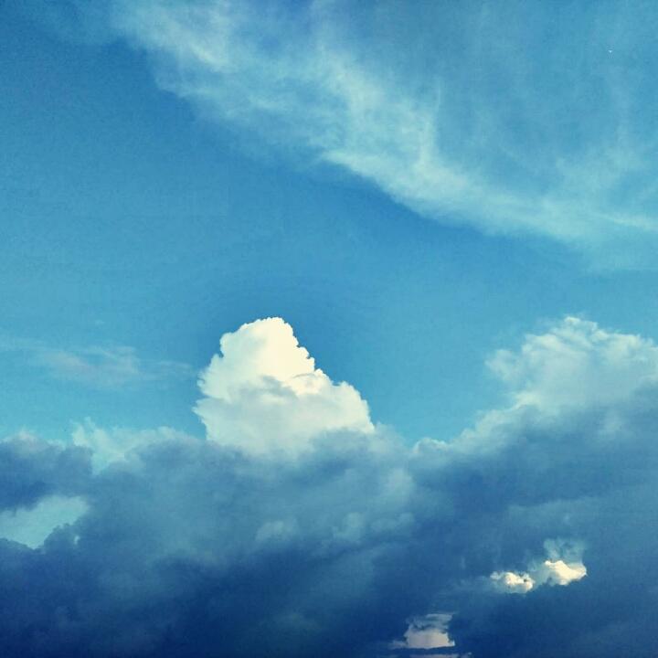 丹姐姐-1