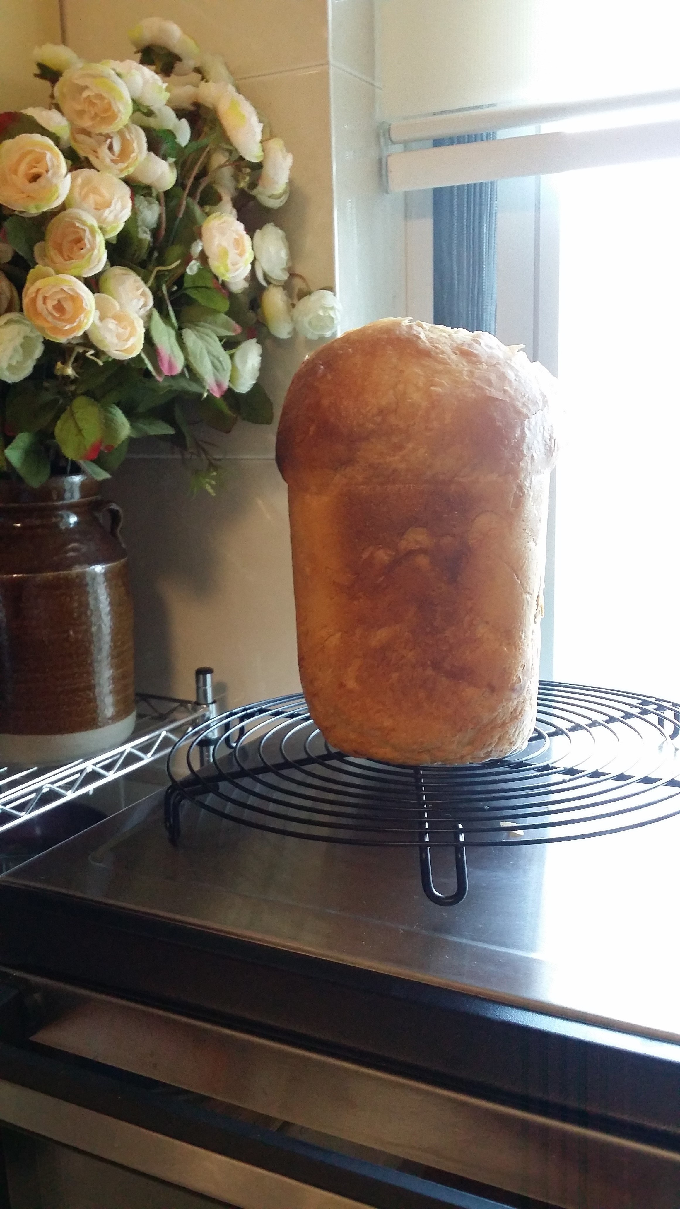 凯撒面包-松下面包机105版（法国T65面粉)的做法