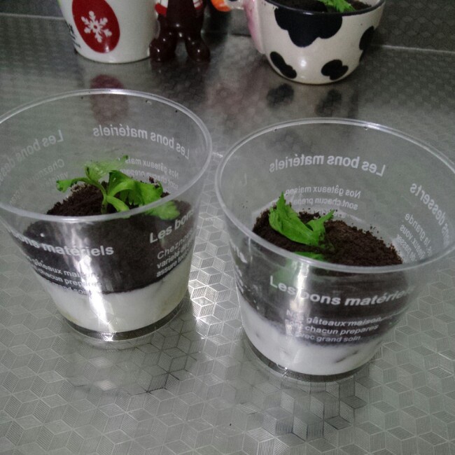 酸奶盆栽