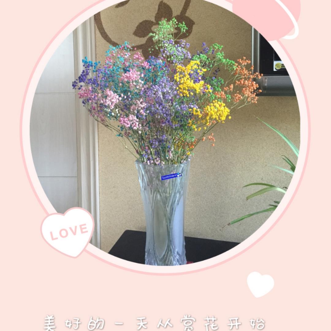 银杏果zj