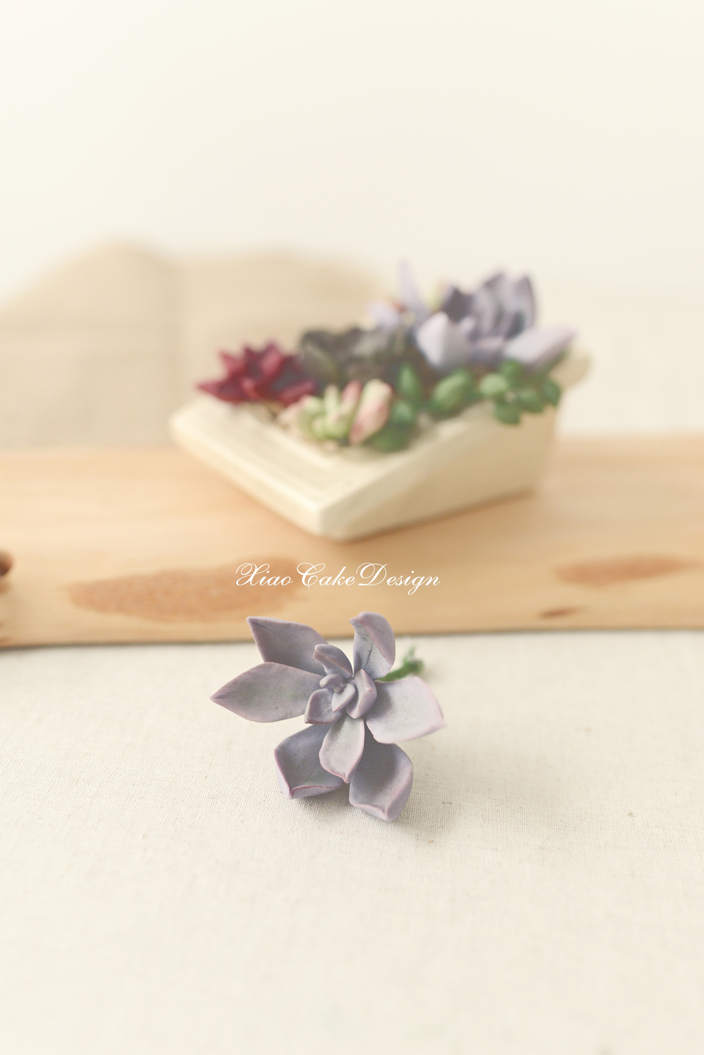 小肖作品（持续更新中.......）