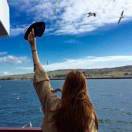 手机用户0990_wqxa