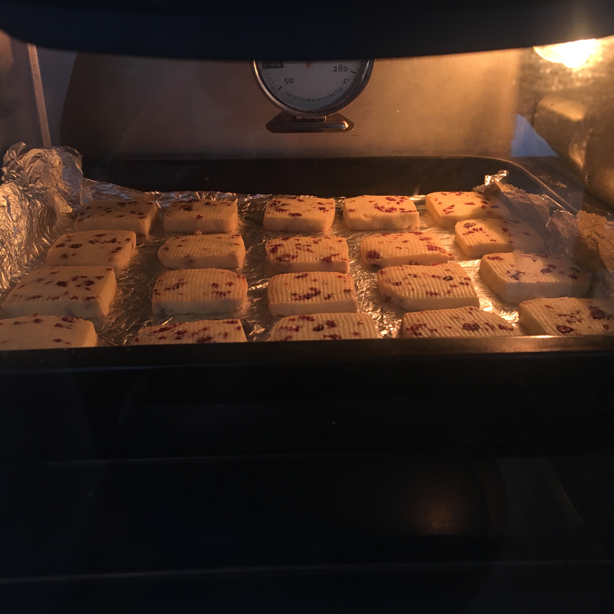 《Tinrry+》蔓越莓曲奇（超简单曲奇配方）