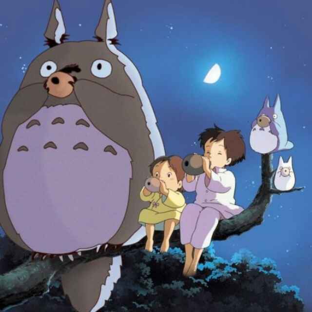 请回答totoro