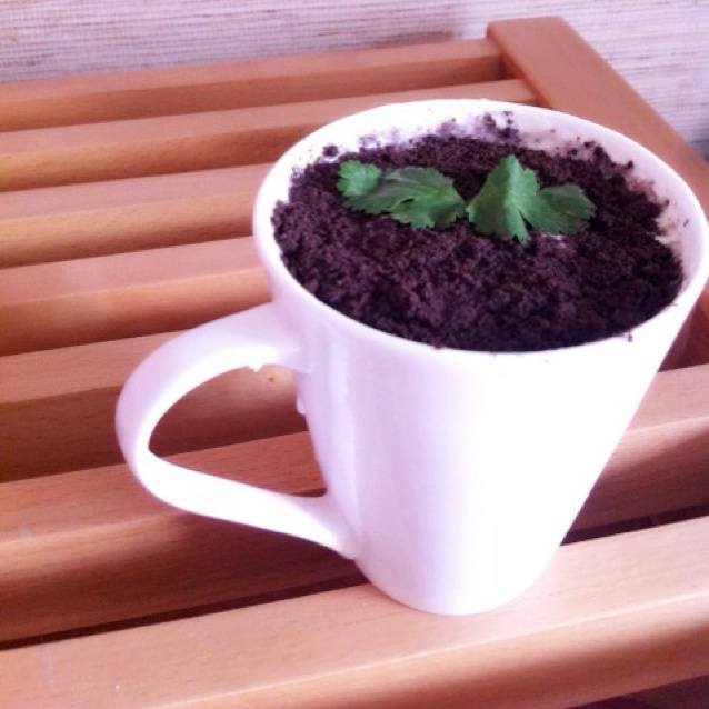 盆栽奶茶