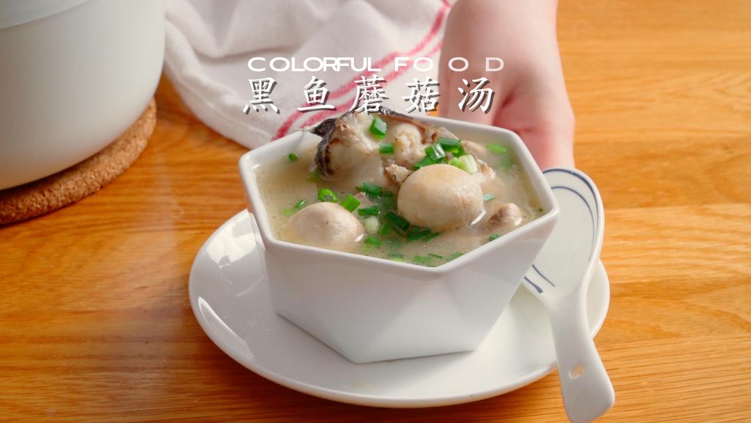 黑鱼蘑菇汤的做法
