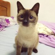 猴猴的焦糖玛奇朵