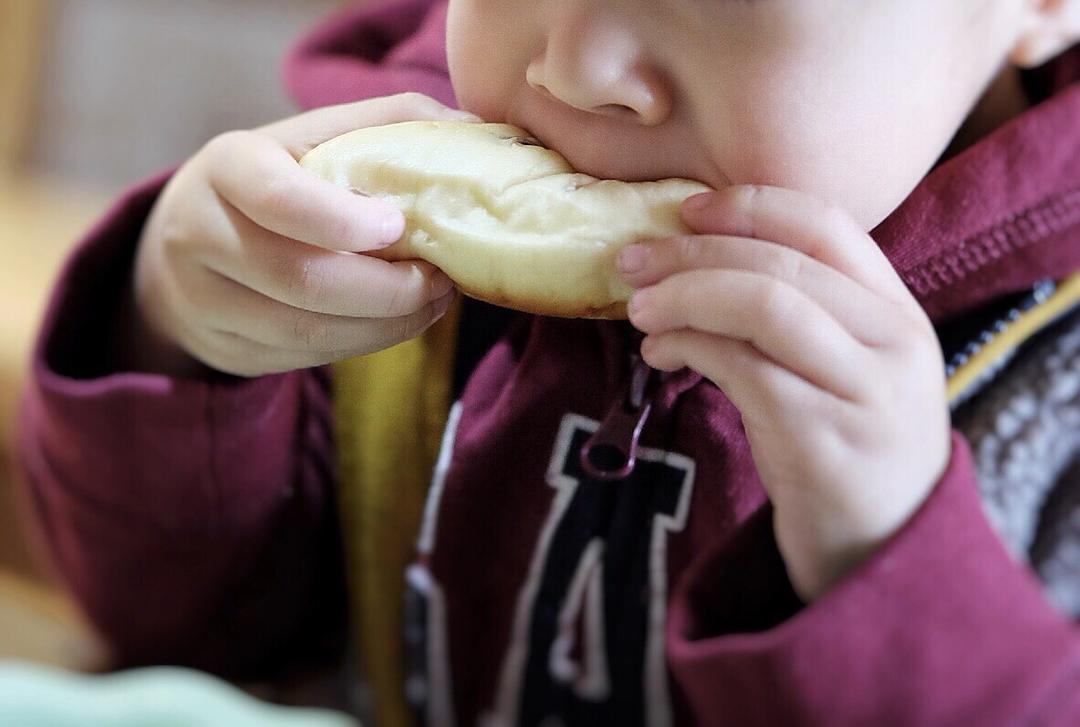 面包店里的常客——蔓越莓奶酪软欧