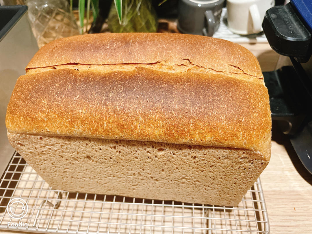 天然酵母全麦吐司（无糖无油无蛋）【消耗弃种】