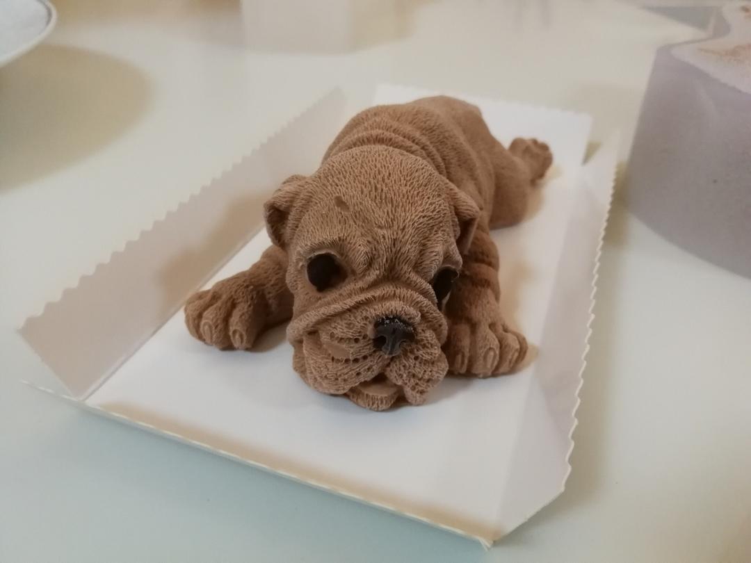 奚妈烘培做的仿真狗狗慕斯蛋糕