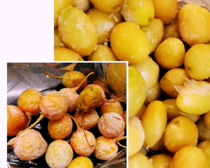 快速处理银杏（白果）的方法