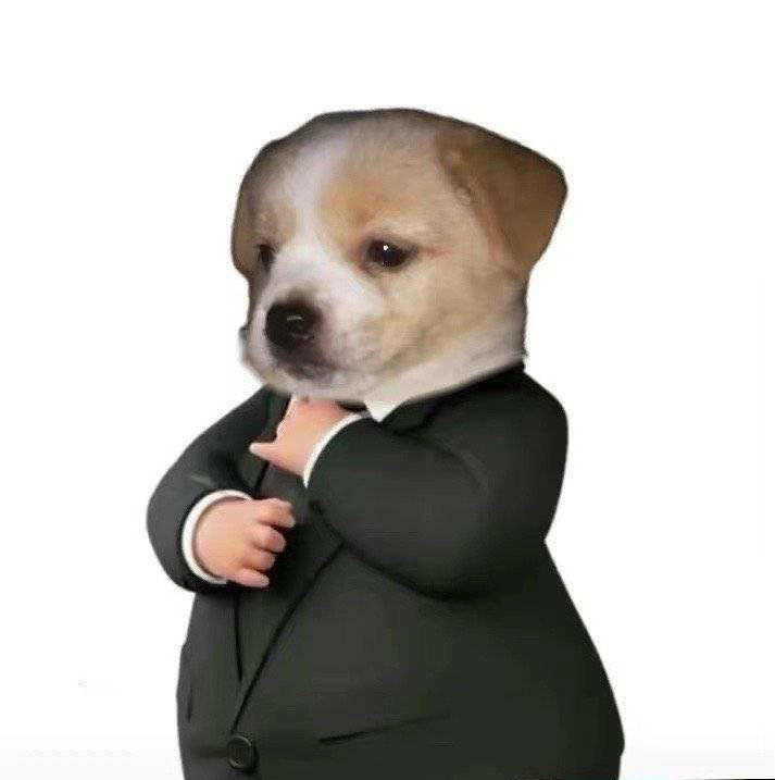 野路子自炊小能手