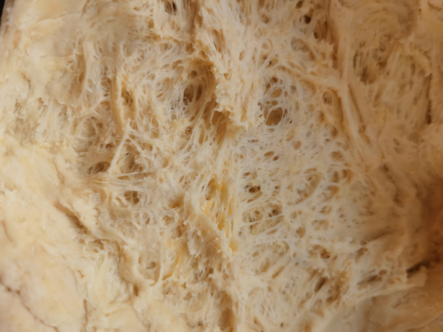 不用熬夜做面包了～成功率高、香软拉丝的北海道吐司（省时的中种法）的做法 步骤5