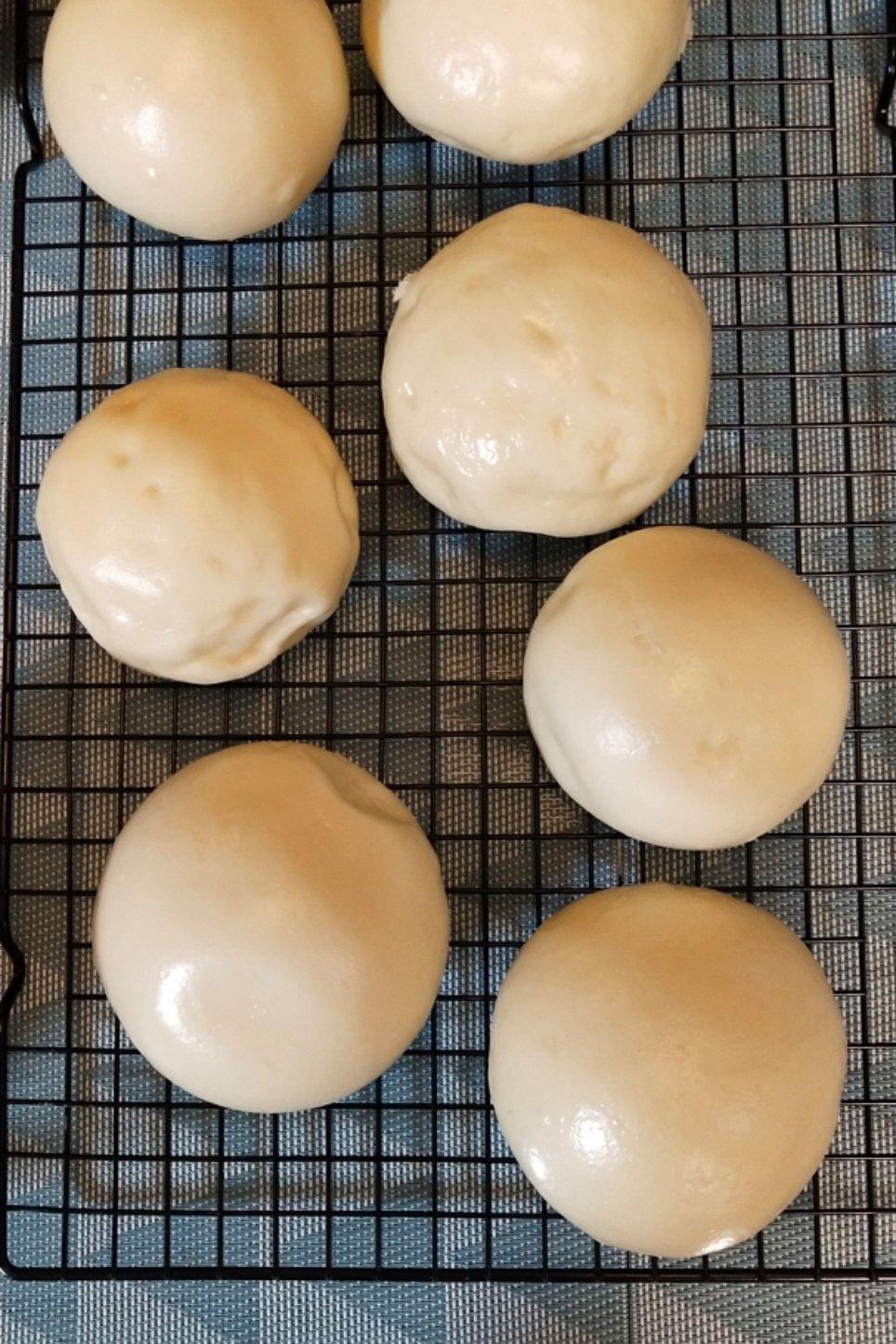 无油无糖山东纯老面馒头不加干酵母一次发酵 紧实有嚼劲 天然酵母面肥酵子带造型视频