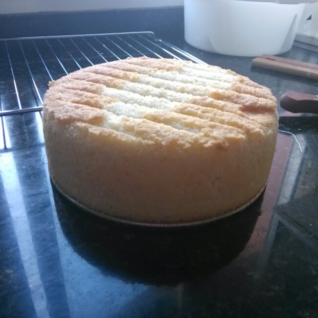 【小嶋rumi】经典海绵蛋糕